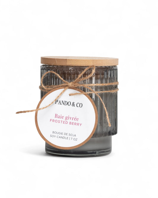 BOUGIE - BAIE GIVRÉE | PANDO & CO