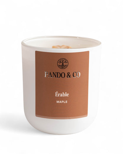 BOUGIE | ÉRABLE - Pando & co