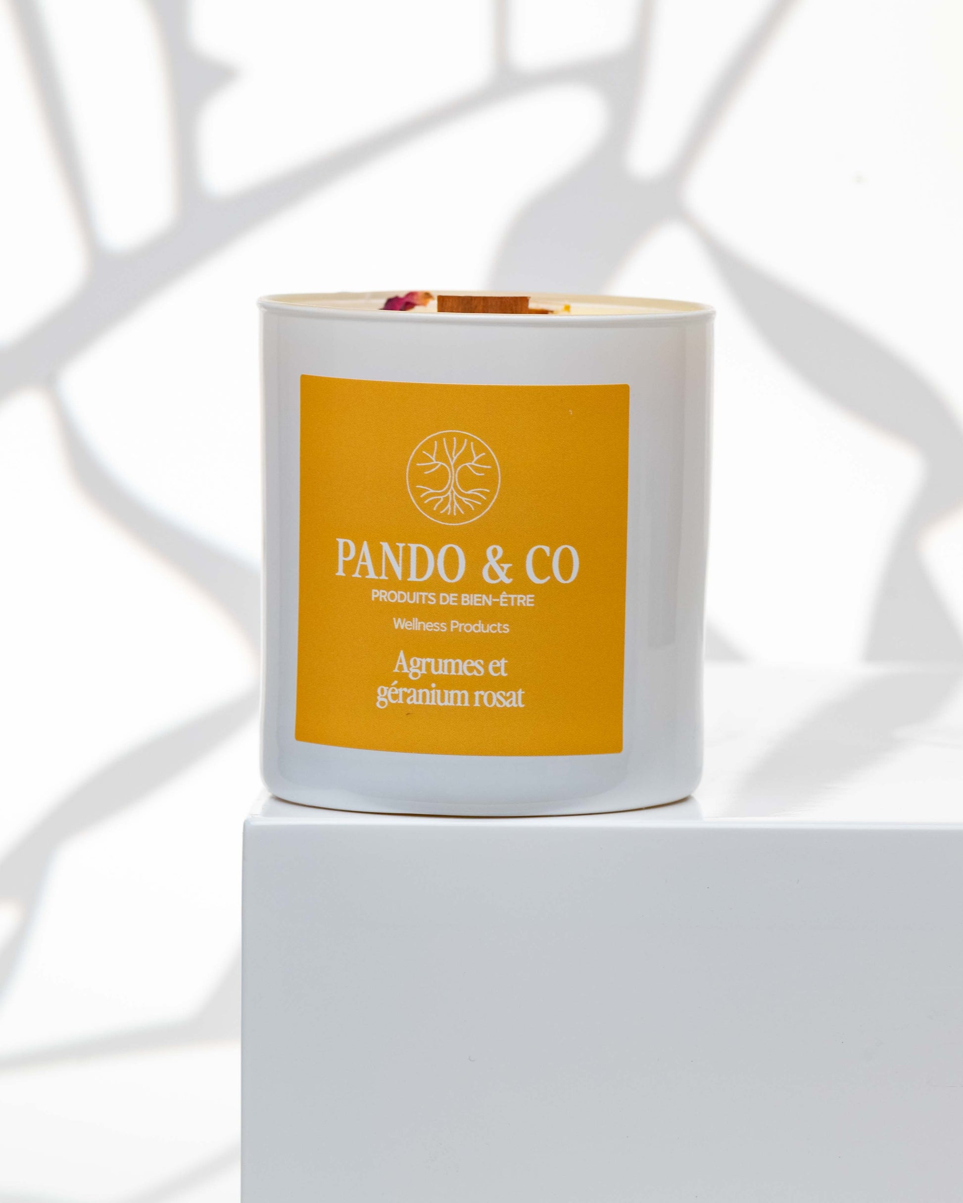 BOUGIE IMPARFAITE - Pando & co