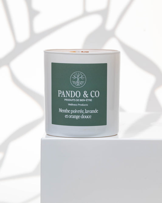 BOUGIE IMPARFAITE - Pando & co