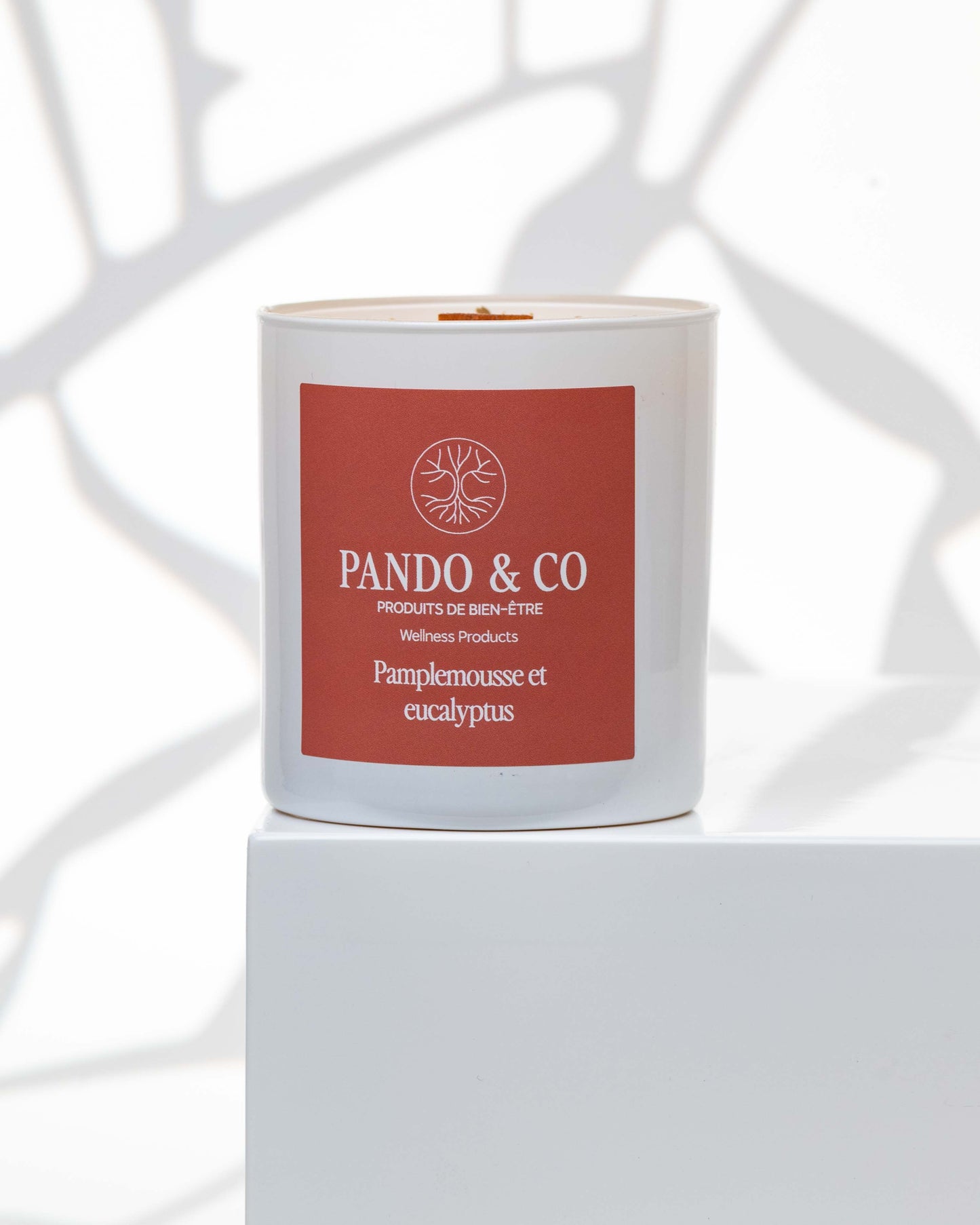 BOUGIE IMPARFAITE - Pando & co