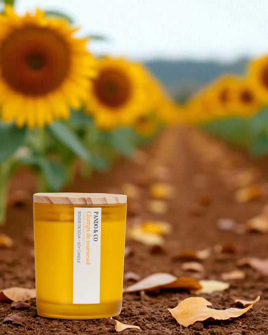 BOUGIE | CHAMPS DE TOURNESOL - PANDO & CO
