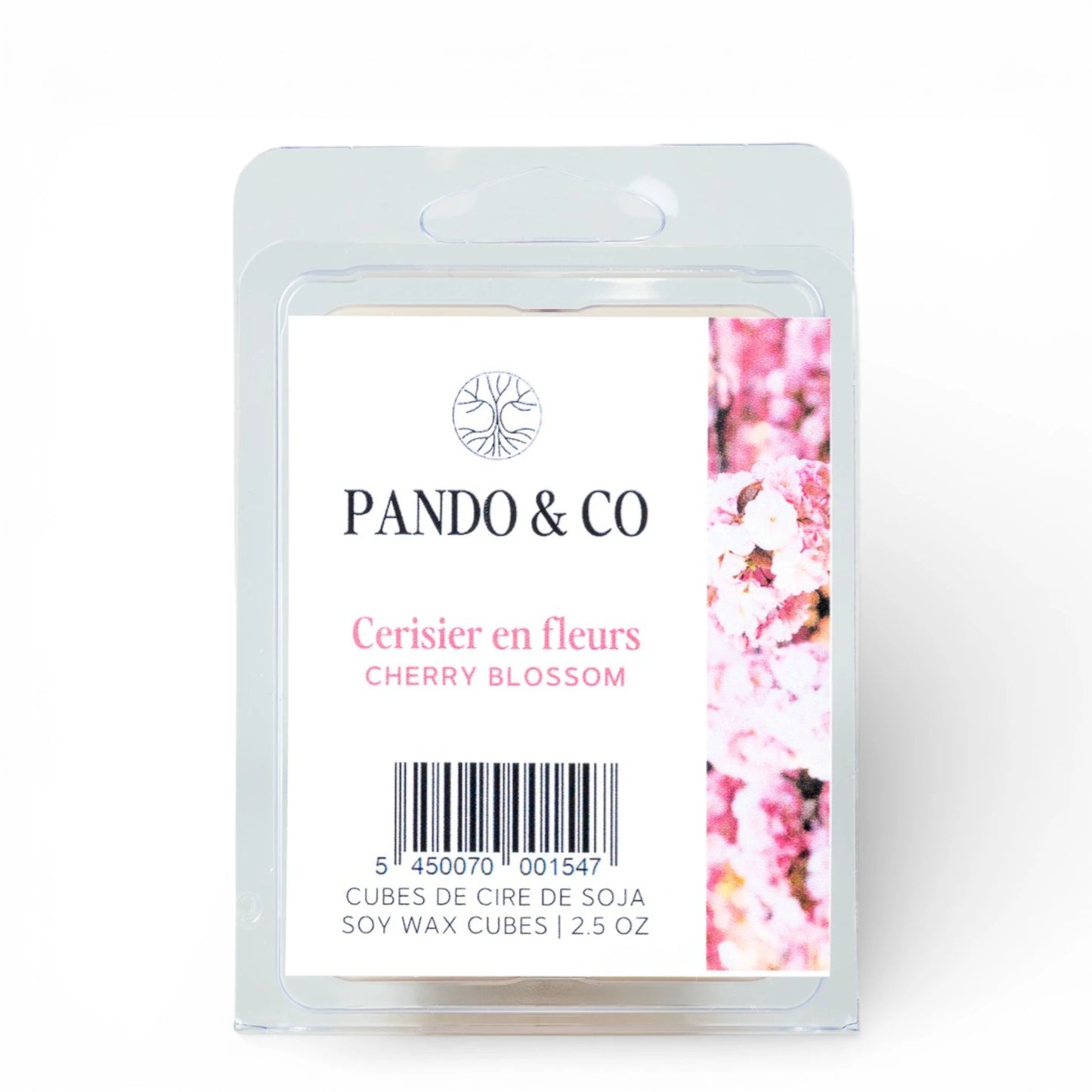 Cubes de cire - Cerisier en fleurs