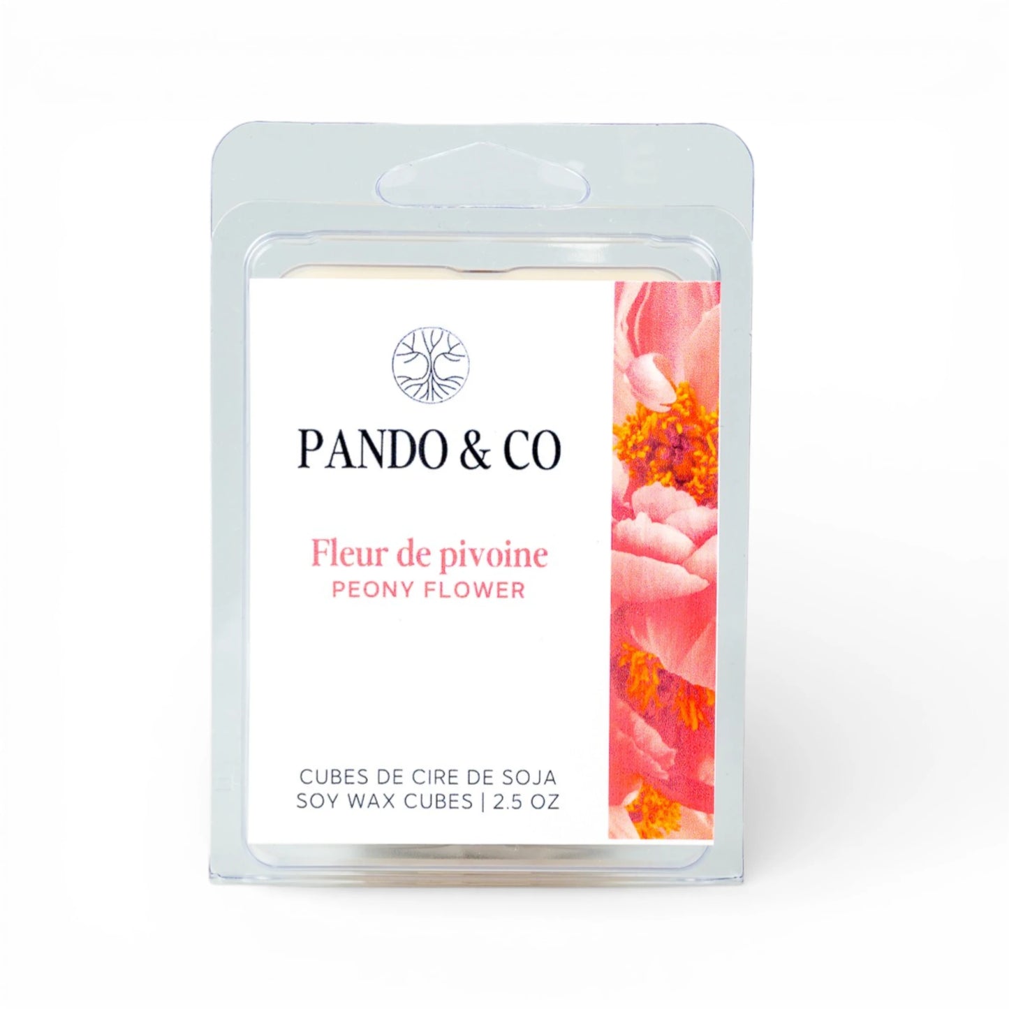 CUBES DE CIRE | FLEUR DE PIVOINE