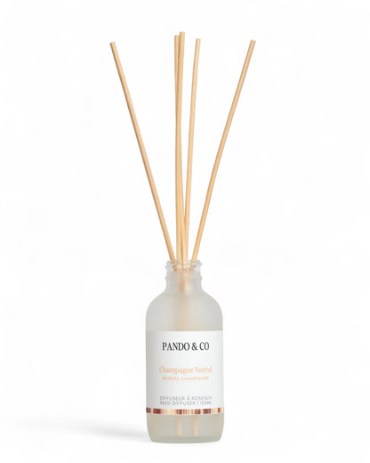 DIFFUSEUR À ROSEAUX - CHAMPAGNE BORÉAL | PANDO & CO