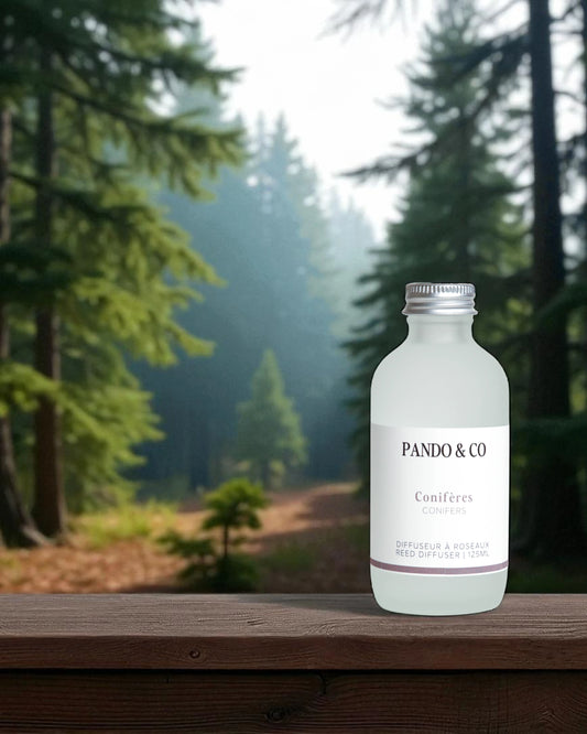 DIFFUSEUR À ROSEAUX | CONIFÈRES - PANDO & CO