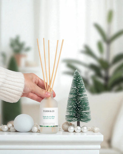 DIFFUSEUR À ROSEAUX - SAPIN À ROSEAUX | PANDO & CO