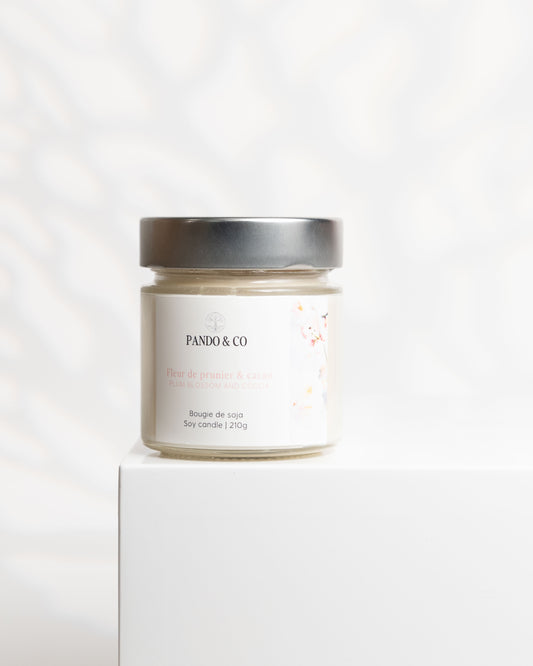 pandoetco_boutique_photo_bougie_fevrier_2025-7