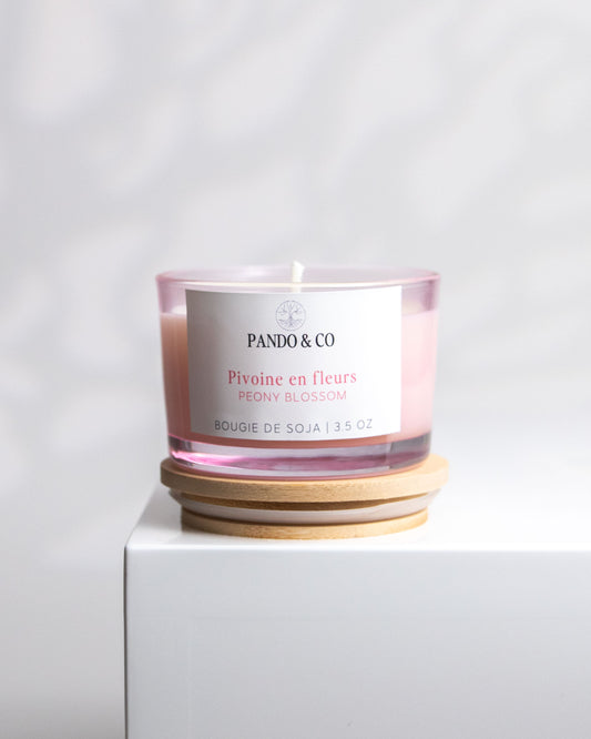 BOUGIE | FLEUR DE PIVOINE